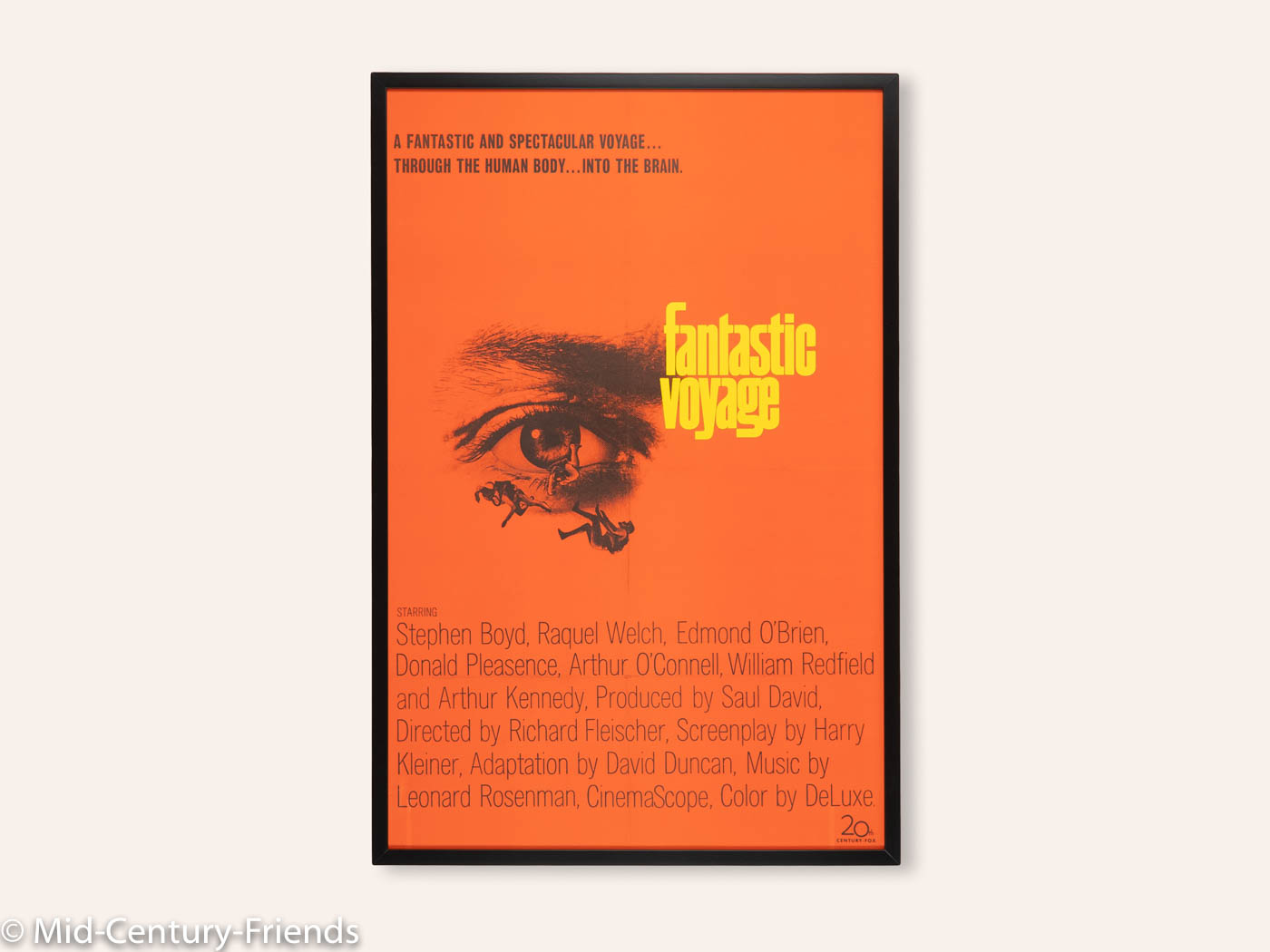 Fantastic Voyage, Movie Poster, 66 x 100 cm